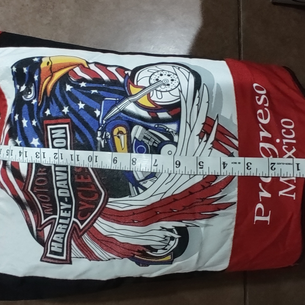 Harley Davidson bag
